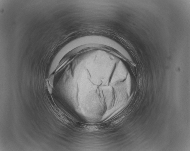 X0000083610409200703121608