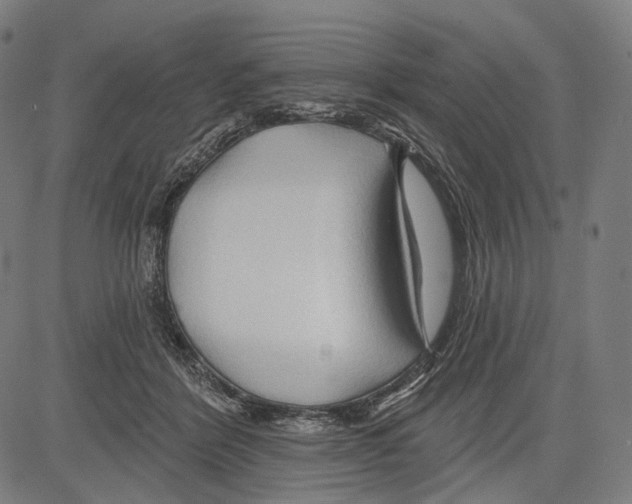 X0000083610412200703121608