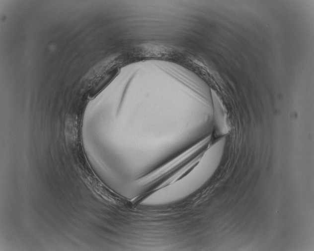 X0000083610413200703121608