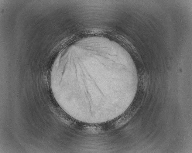 X0000083610415200703121607