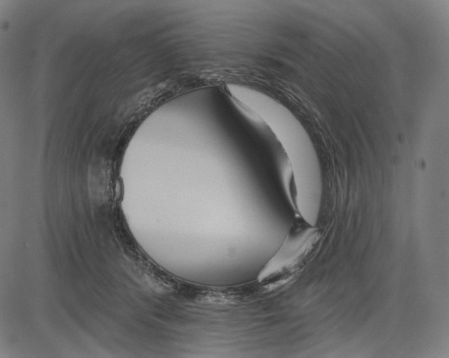 X0000083610416200703121607