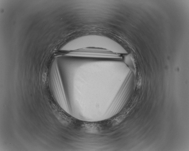 X0000083610417200703121607