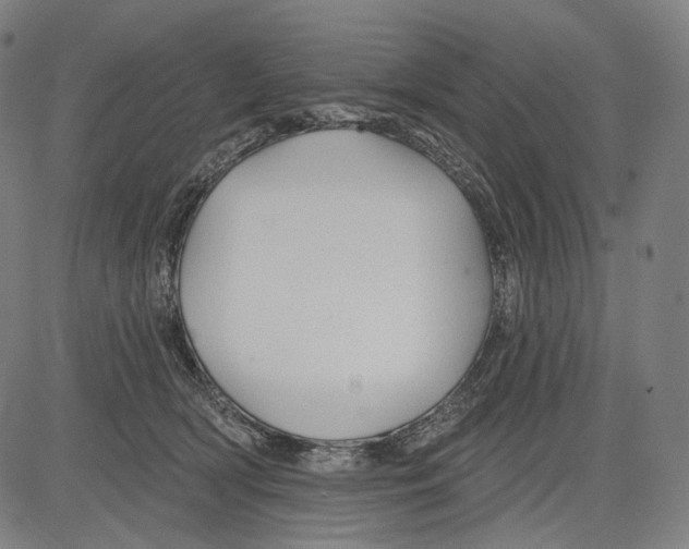 X0000083610418200703121607