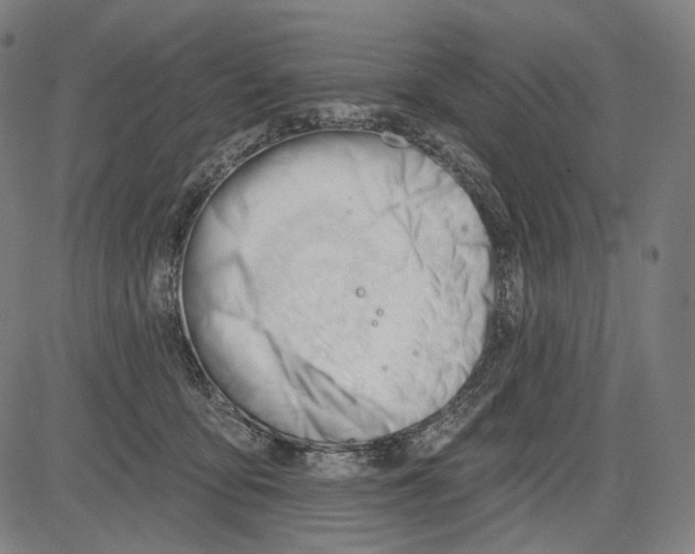 X0000083610419200703121607