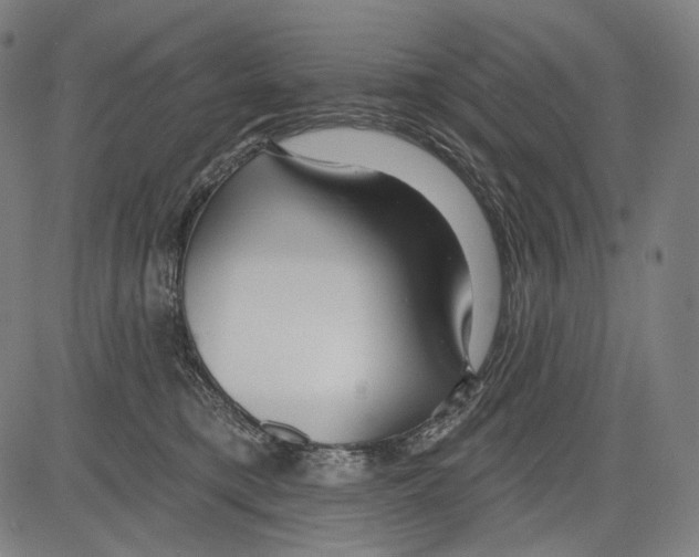 X0000083610421200703121607