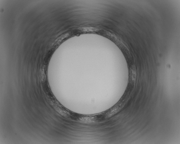 X0000083610422200703121607