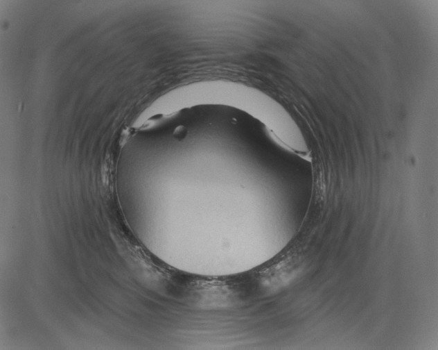 X0000083610424200703121607