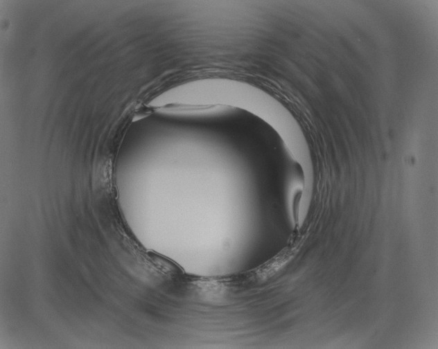 X0000083610425200703121607