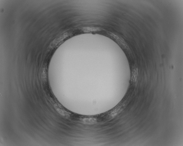 X0000083610426200703121607