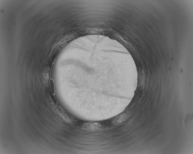 X0000083610427200703121607