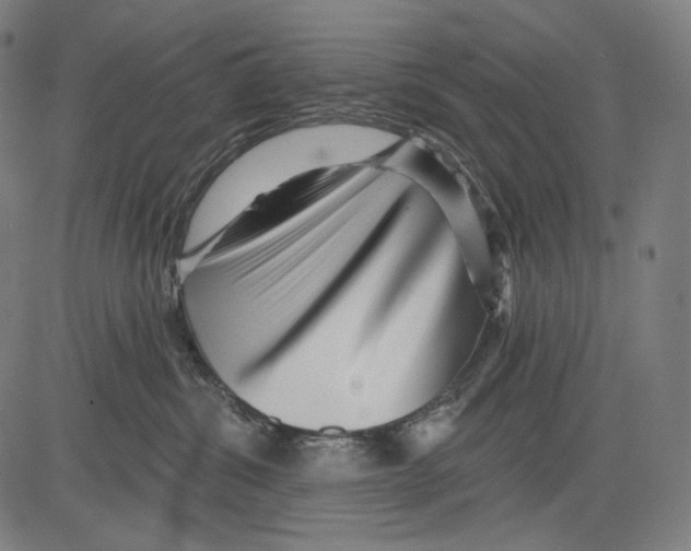 X0000083610428200703121607