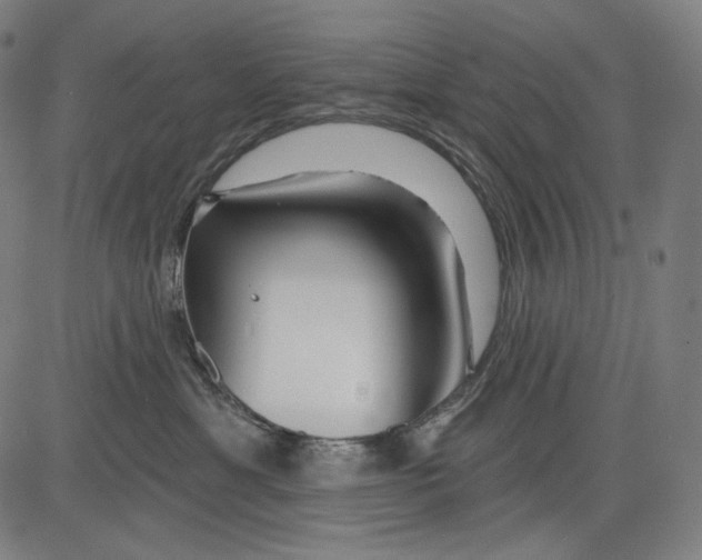 X0000083610429200703121607