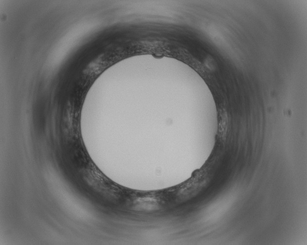 X0000083610430200703121607