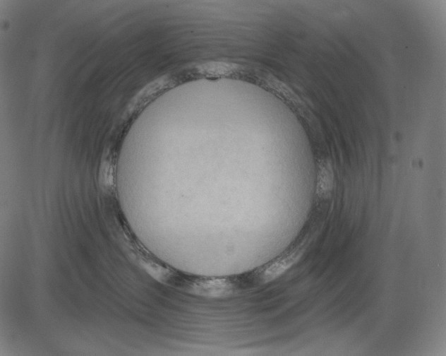 X0000083610431200703121607