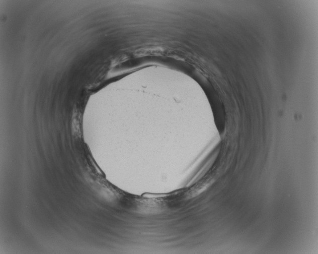 X0000083610432200703121607