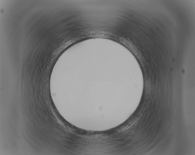 X0000083610433200703121606