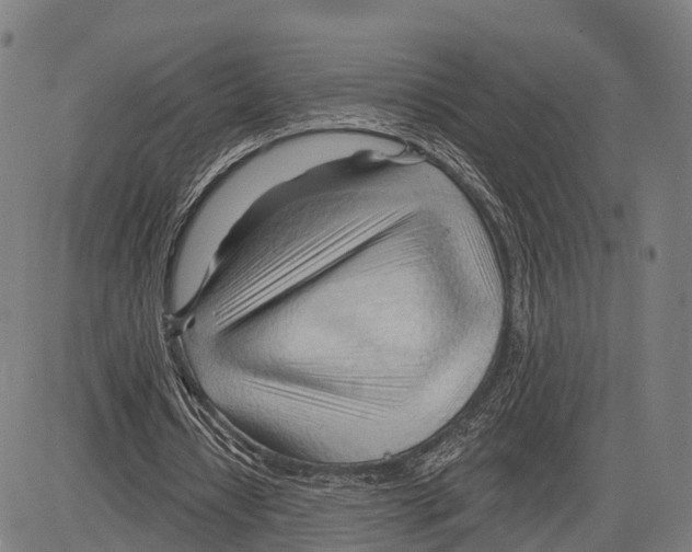 X0000083610434200703121606