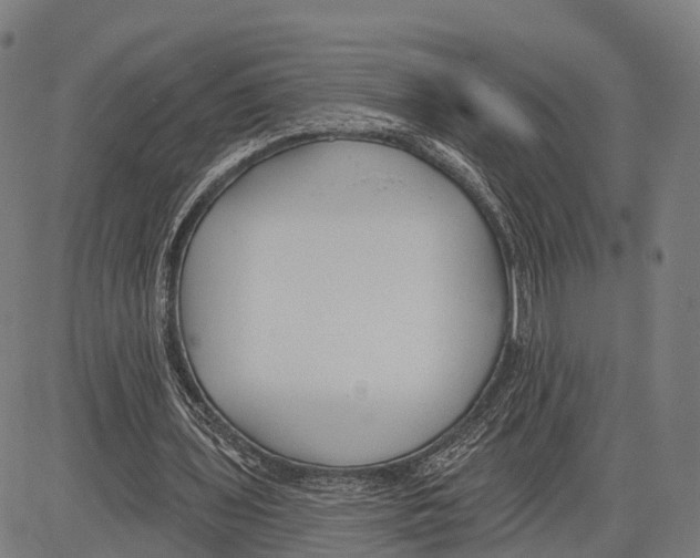 X0000083610435200703121606