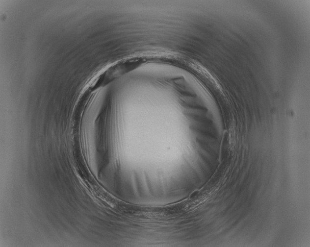 X0000083610436200703121606