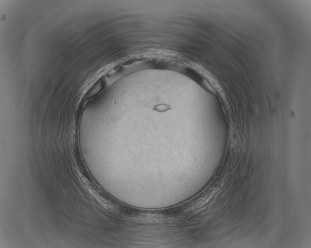 X0000083610437200703121606