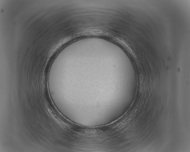 X0000083610439200703121607