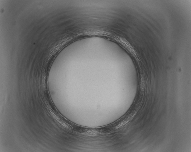 X0000083610441200703121607