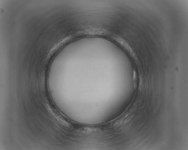 X0000083610442200703121607