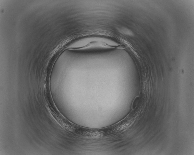 X0000083610443200703121607