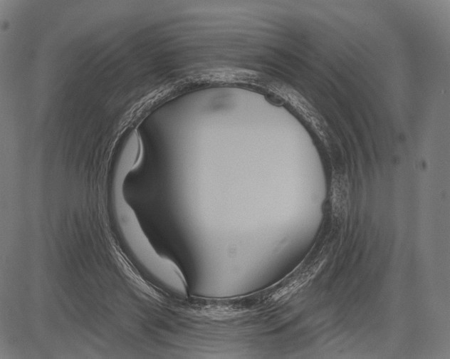 X0000083610445200703121607