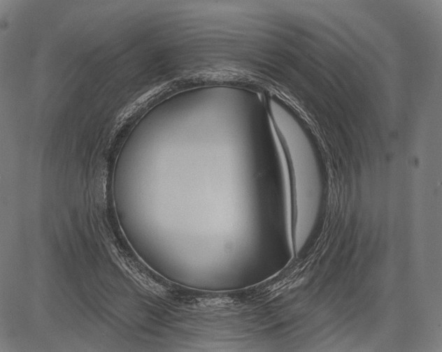 X0000083610446200703121607