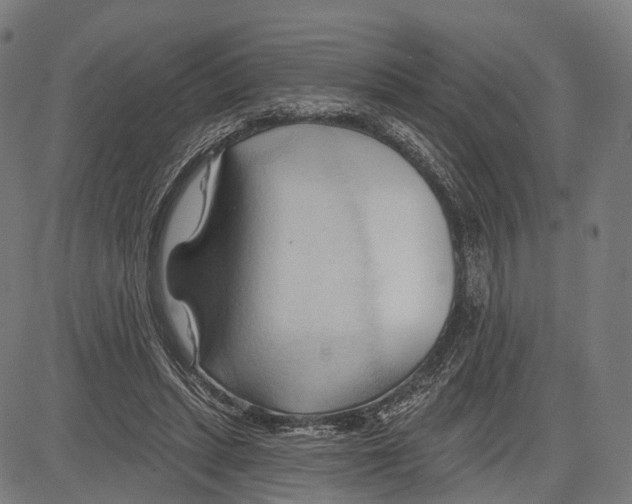 X0000083610447200703121607