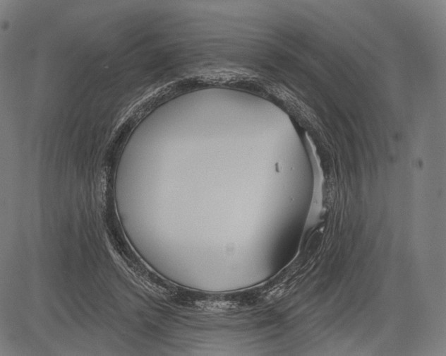 X0000083610448200703121607