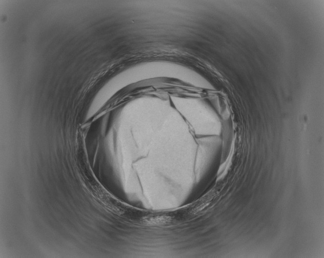 X0000083610452200703121607