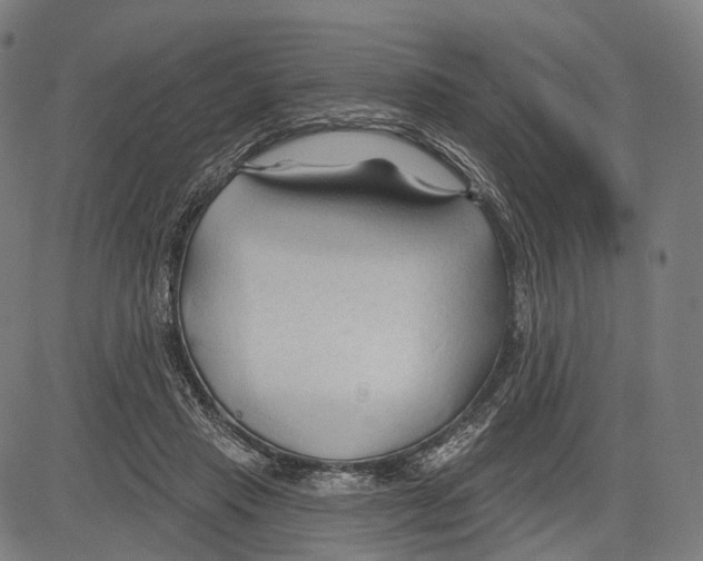 X0000083610453200703121607