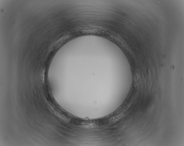 X0000083610454200703121607