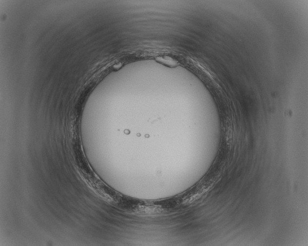 X0000083610455200703121607