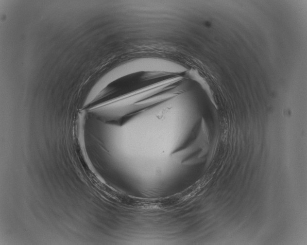 X0000083610456200703121607