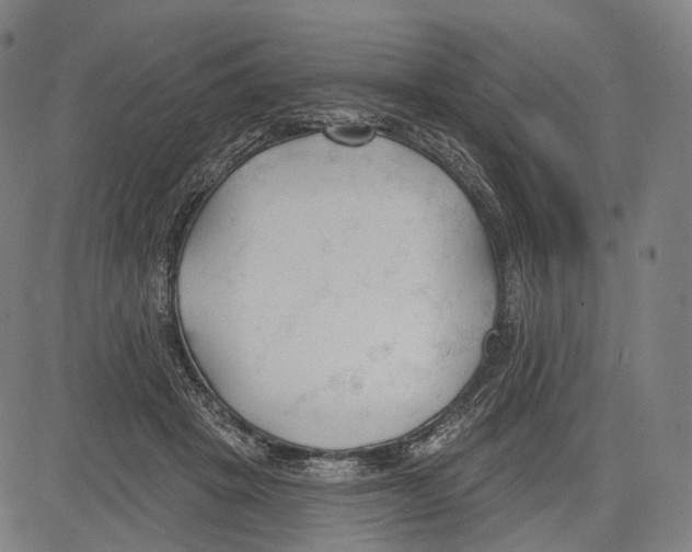 X0000083610457200703121607