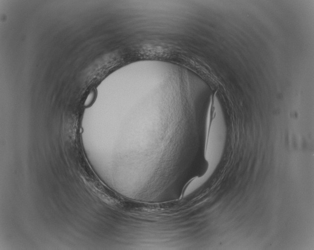 X0000083610458200703121607