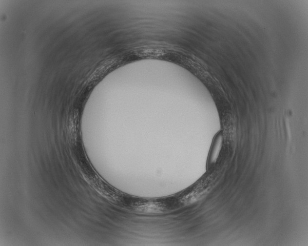 X0000083610460200703121607