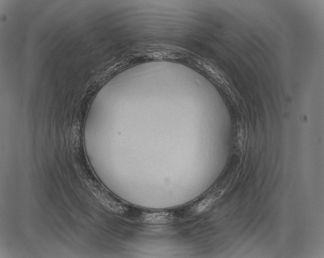 X0000083610461200703121607