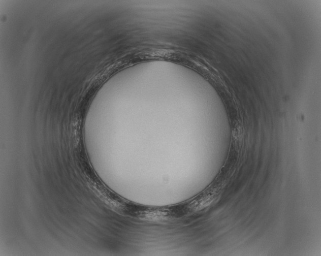 X0000083610462200703121607