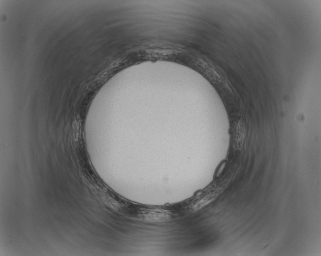 X0000083610463200703121607