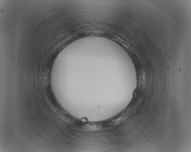 X0000083610464200703121607