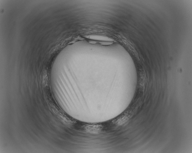 X0000083610465200703121607