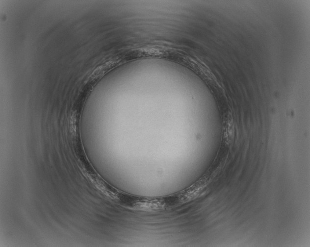 X0000083610466200703121607