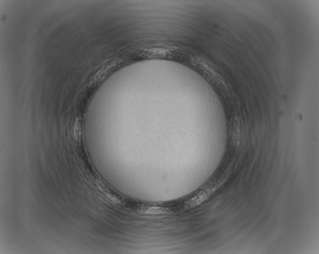 X0000083610467200703121607