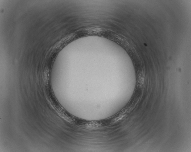 X0000083610468200703121607