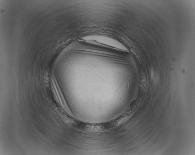 X0000083610469200703121607