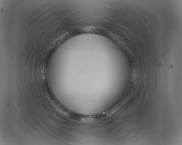 X0000083610470200703121607